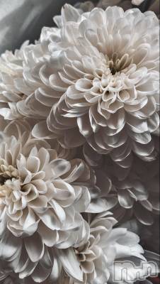 ��ˬ����Х��顦����֥���� �ץ���� ��ˬ(����� �ץ���� ����) �ϰ� �椺���12��21���̥�֥�����🤍��