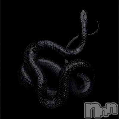 ��ˬ����Х��顦����֥���� �ץ���� ��ˬ(����� �ץ���� ����) �ϰ� �椺���1��3���̥�֥�����🖤��