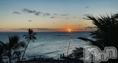 ��ˬ����Х��顦����֥���� �ץ���� ��ˬ(����� �ץ���� ����) �ϰ� �椺���2��19���̥�֥�����🧡��