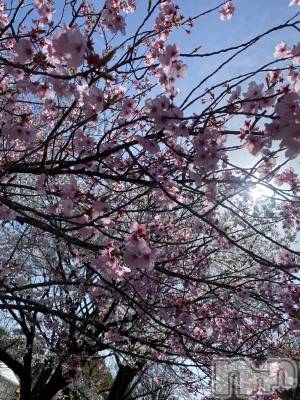 ��ˬ����Х��顦����֥���� �ץ���� ��ˬ(����� �ץ���� ����) �ϰ� �椺���2��26���̥�֥�����🩷��