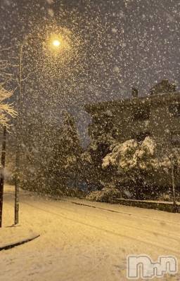 ��ˬ����Х��顦����֥���� �ץ���� ��ˬ(����� �ץ���� ����) �ϰ� �椺���3��5���̥�֥�����🤍��