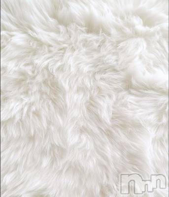 ��ˬ����Х��顦����֥���� �ץ���� ��ˬ(����� �ץ���� ����) �ϰ� �椺���3��15���̥�֥�����🤍��