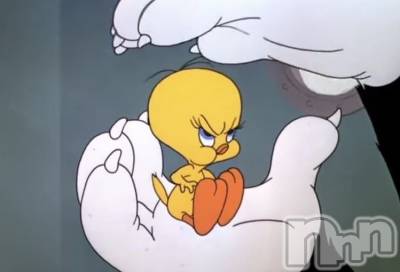 ��ˬ����Х��顦����֥���� �ץ���� ��ˬ(����� �ץ���� ����) �ϰ� �椺���4��2���̥�֥�����💛��