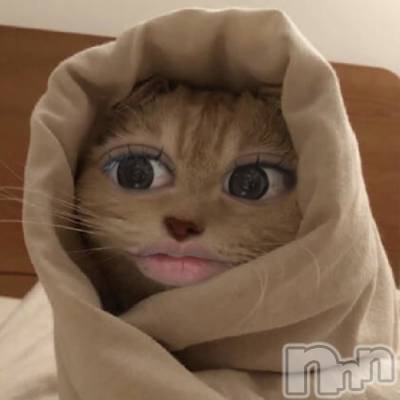 ��ˬ����Х��顦����֥���� �ץ���� ��ˬ(����� �ץ���� ����) �ϰ� �椺���4��10���̥�֥�����🤎��