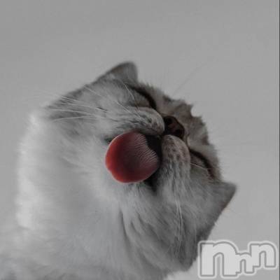 ��ˬ����Х��顦����֥���� �ץ���� ��ˬ(����� �ץ���� ����) �ϰ� �椺���4��12���̥�֥�����🤍��