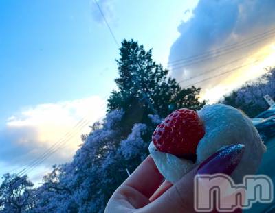 ��ˬ����Х��顦����֥���� �ץ���� ��ˬ(����� �ץ���� ����) �ϰ� �椺���4��16���̥�֥�����❤️��