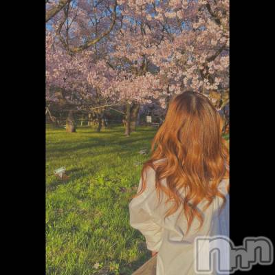 ��ˬ����Х��顦����֥���� �ץ���� ��ˬ(����� �ץ���� ����) �ϰ� �椺���4��17���̥�֥�����🩷��