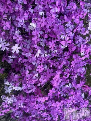 ��ˬ����Х��顦����֥���� �ץ���� ��ˬ(����� �ץ���� ����) �ϰ� �椺���6��13���̥�֥�����💜��