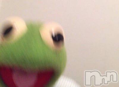 ��ˬ����Х��顦����֥���� �ץ���� ��ˬ(����� �ץ���� ����) �ϰ� �椺���6��20���̥�֥�����💚��