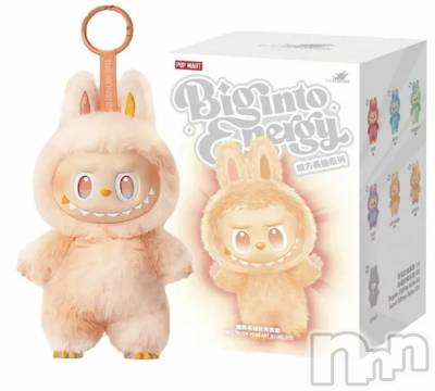 ��ˬ����Х��顦����֥���� �ץ���� ��ˬ(����� �ץ���� ����) �ϰ� �椺���8��23���̥�֥�����🧡��