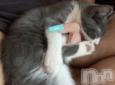 ��ˬ����Х��顦����֥���� �ץ���� ��ˬ(����� �ץ���� ����) �ϰ� �椺���8��25���̥�֥�����🩶��