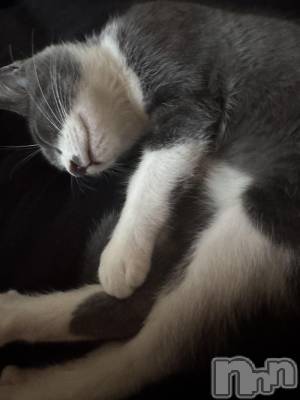 ��ˬ����Х��顦����֥���� �ץ���� ��ˬ(����� �ץ���� ����) �ϰ� �椺���8��26���̥�֥�����🖤��