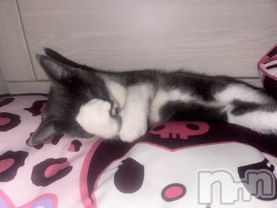 ��ˬ����Х��顦����֥���� �ץ���� ��ˬ(����� �ץ���� ����) �ϰ� �椺���8��27���̥�֥�����🩷��