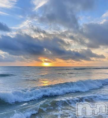 ��ˬ����Х��顦����֥���� �ץ���� ��ˬ(����� �ץ���� ����) �ϰ� �椺���8��28���̥�֥�����🩵��