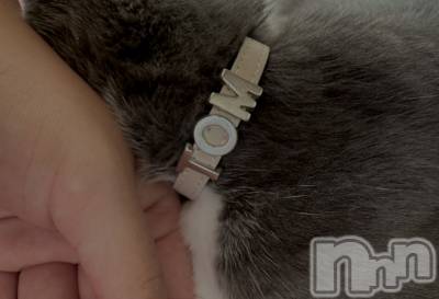 ��ˬ����Х��顦����֥���� �ץ���� ��ˬ(����� �ץ���� ����) �ϰ� �椺���9��2���̥�֥�����🖤��