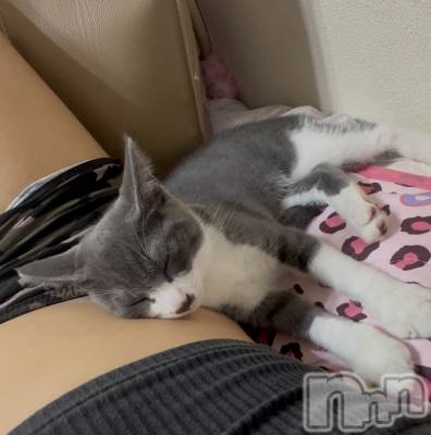 ��ˬ����Х��顦����֥���� �ץ���� ��ˬ(����� �ץ���� ����) �ϰ� �椺���9��4���̥�֥�����🩶��