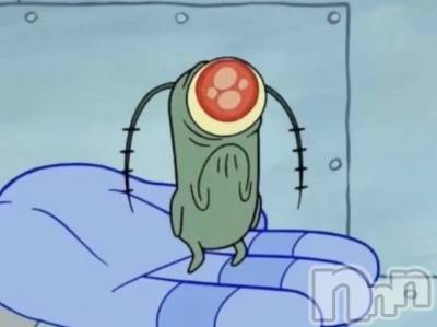 ��ˬ����Х��顦����֥���� �ץ���� ��ˬ(����� �ץ���� ����) �ϰ� �椺���9��12���̥�֥�����🩵��