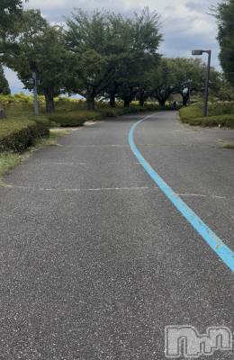 ��ˬ����Х��顦����֥���� �ץ���� ��ˬ(����� �ץ���� ����) �ϰ� �椺���9��25���̥�֥�����🩶��