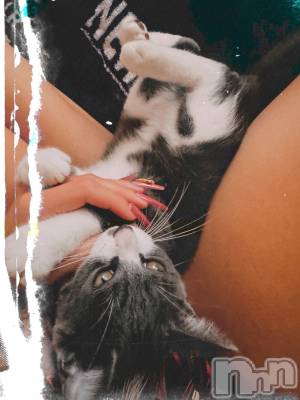 ��ˬ����Х��顦����֥���� �ץ���� ��ˬ(����� �ץ���� ����) �ϰ� �椺���9��27���̥�֥�����🖤��