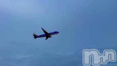 ��ˬ����Х��顦����֥���� �ץ���� ��ˬ(����� �ץ���� ����) �ϰ� �椺���10��4���̥�֥�����🩵��