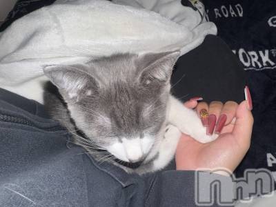 ��ˬ����Х��顦����֥���� �ץ���� ��ˬ(����� �ץ���� ����) �ϰ� �椺���10��6���̥�֥�����🩶��