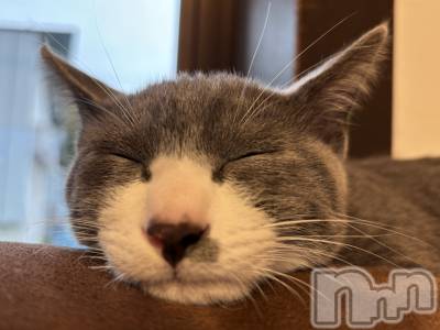 ��ˬ����Х��顦����֥���� �ץ���� ��ˬ(����� �ץ���� ����) �ϰ� �椺���10��16���̥�֥�����🩶��