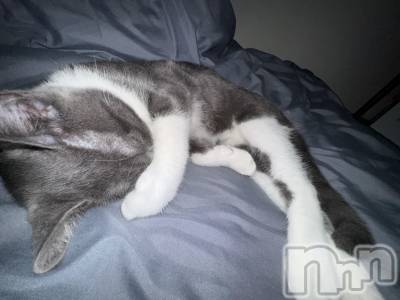 ��ˬ����Х��顦����֥���� �ץ���� ��ˬ(����� �ץ���� ����) �ϰ� �椺���10��18���̥�֥�����🩶��