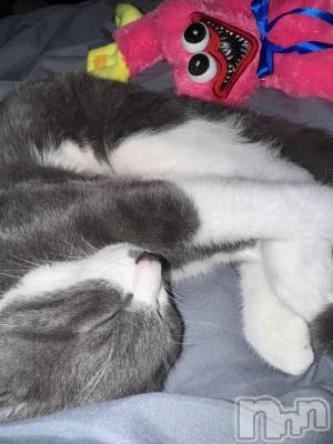 ��ˬ����Х��顦����֥���� �ץ���� ��ˬ(����� �ץ���� ����) �ϰ� �椺���10��30���̥�֥�����🩷��