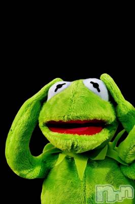 ��ˬ����Х��顦����֥���� �ץ���� ��ˬ(����� �ץ���� ����) �ϰ� �椺���11��19���̥�֥�����💚��