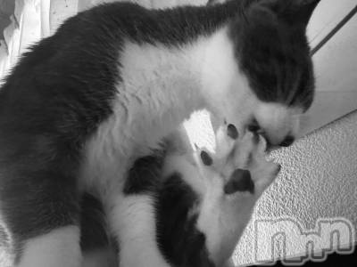 ��ˬ����Х��顦����֥���� �ץ���� ��ˬ(����� �ץ���� ����) �ϰ� �椺���12��1���̥�֥�����🖤��