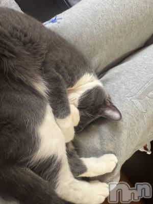 ��ˬ����Х��顦����֥���� �ץ���� ��ˬ(����� �ץ���� ����) �ϰ� �椺���12��24���̥�֥�����🩶��