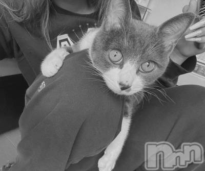 ��ˬ����Х��顦����֥���� �ץ���� ��ˬ(����� �ץ���� ����) �ϰ� �椺���1��29���̥�֥�����🩶��