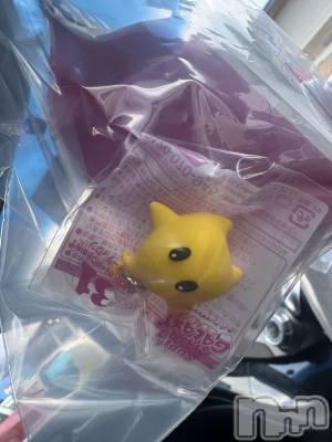 ��ˬ����Х��顦����֥���� �ץ���� ��ˬ(����� �ץ���� ����) �ϰ� �椺���4��7���̥�֥�����💛��