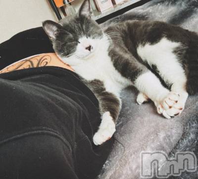 ��ˬ����Х��顦����֥���� �ץ���� ��ˬ(����� �ץ���� ����) �ϰ� �椺���4��10���̥�֥�����🖤��