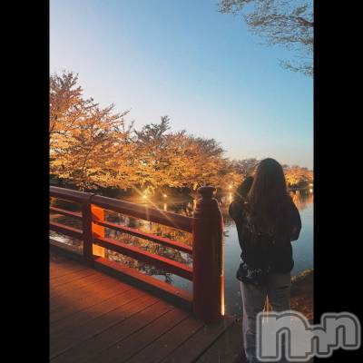 ��ˬ����Х��顦����֥���� �ץ���� ��ˬ(����� �ץ���� ����) �ϰ� �椺���4��16���̥�֥�����🩷��