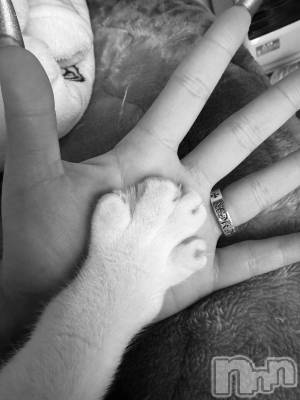 ��ˬ����Х��顦����֥���� �ץ���� ��ˬ(����� �ץ���� ����) �ϰ� �椺���4��22���̥�֥�����🩶��