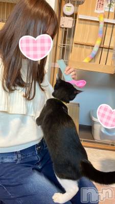 新潟手コキ Cherish Amulet(チェリッシュ アミュレット) まみ(19)の3月26日写メブログ「出勤してます🐈‍⬛」