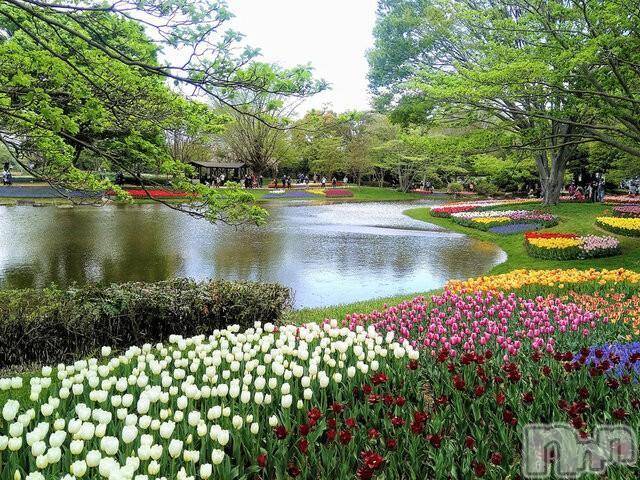 新潟人妻デリヘル熟女の風俗 最終章(ジュクジョノフウゾクサイシュウショウ) こゆき(45)の12月9日写メブログ「ニューモナコのお兄さんありがとうございました！」