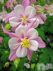 新潟デリヘル熟女の風俗 最終章(ジュクジョノフウゾクサイシュウショウ) こゆき(45)の10月23日写メブログ「ブルーシャトーのリピのお兄さんありがとうございました！」