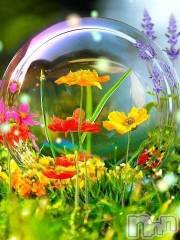 新潟デリヘル熟女の風俗 最終章(ジュクジョノフウゾクサイシュウショウ) こゆき(45)の10月25日写メブログ「エリーゼのお兄さんありがとうございました！」