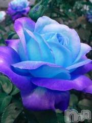 新潟デリヘル熟女の風俗 最終章(ジュクジョノフウゾクサイシュウショウ) こゆき(45)の10月25日写メブログ「メッツのお兄さんありがとうございました！」