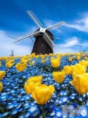 新潟デリヘル熟女の風俗 最終章(ジュクジョノフウゾクサイシュウショウ) こゆき(45)の10月26日写メブログ「シャンティのお兄さんありがとうございました！」