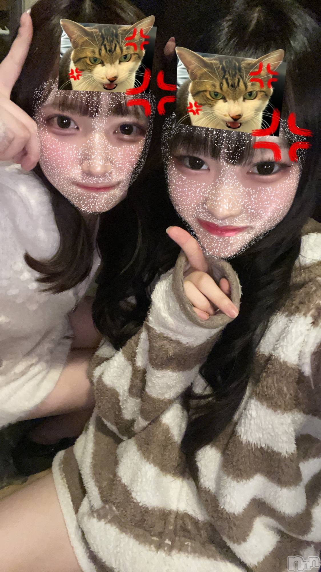 ʥå륺СGirls Bar Philia(륺Сեꥢ) 2025ǯ54̥֥ƱǯȤޡ