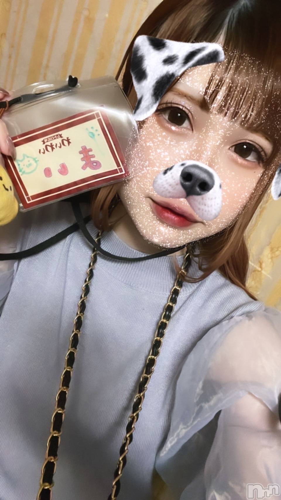 Įʥå륺СץBarʥ(ץСʥ) 2024ǯ76ְ̥֥å㥤🐼🐾