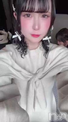 ����������🦖