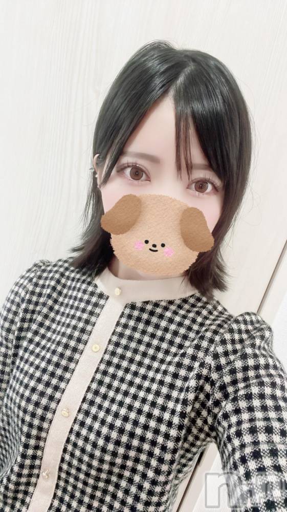 新潟ソープ新潟バニーコレクション(ニイガタバニーコレクション) サクラ(26)の11月6日写メブログ「もう少し、！」