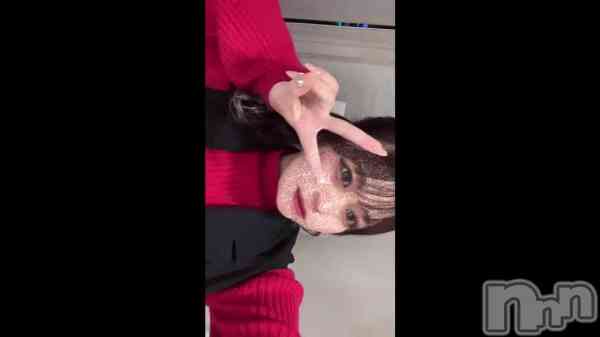 113 2019ʬΥ֥