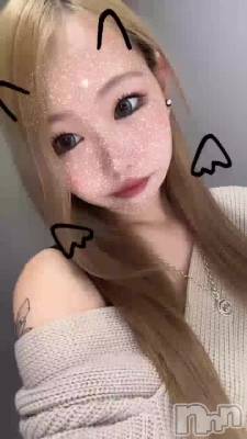 117 2023ʬΥ֥