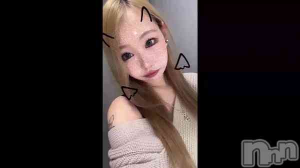 117 2023ʬΥ֥