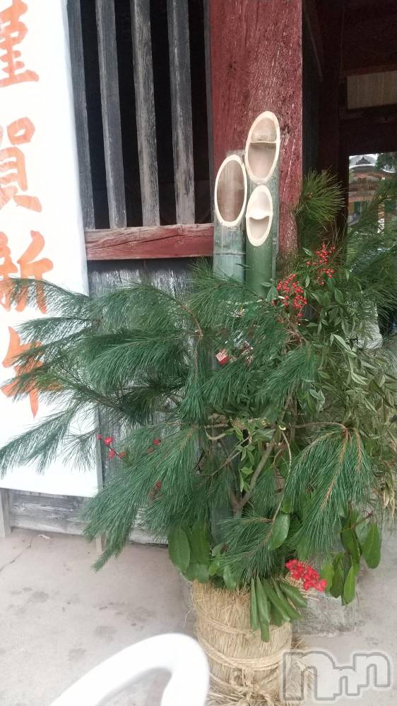 ȯѥ˥󥯥֥ѥ˥󥯥 饤 ۤ11ֲ̥֥🎍